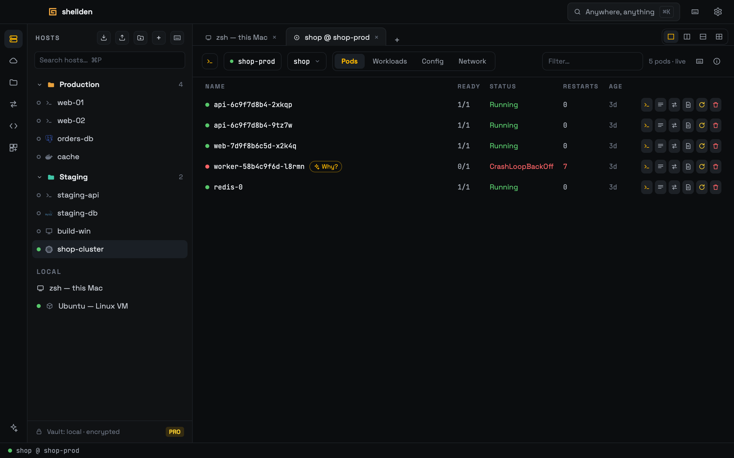 The cluster view: pods, workloads, config and network.